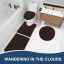 Arotive Luxury Bathroom Rugs 24x16, Extra Soft Thick Absorbent Shaggy Chenille Bath Rugs, Non-Slip Machine Wash Dry, Bath Mats for Bathroom Floor, Tub and Shower, Home Decor Accessories, Brown