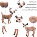 16PCS Deer Figurines Model Trees Kit, Plastic Woodland Animals Toys, Miniature Wild Forest Animal Figures for Christmas Decoration Cake Toppers Party Favors
