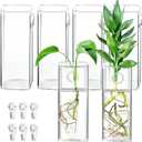 6 Pcs Glass Wall Mounted Planters, Hanging Glass Tubes Flower Vase, Wall Vase for Plants Indoor, Propagation Wall Planter Container for Hydroponics Plants, Garden Wedding Decor