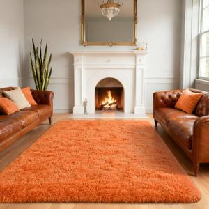 Andecor Shag Area Rug for Living Room, 6x9 Feet Orange Soft Fluffy Indoor Plush Throw Rugs for Bedroom Girls Kids Room Nursery Dorm Home Decor Carpet