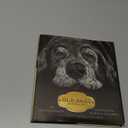 Old Dogs: Are the Best Dogs