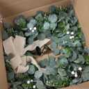 28 Inch Eucalyptus Wreath with Bells & Bow for Front Door, Faux Greenery Wreath for Spring Summer All Seasons Year Round, Green Eucalyptus Decor for Home Farmhouse Indoor Outdoor Porch Wall