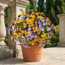 16 Pcs Artificial Pansy Flowers for Outdoor Faux Silk Spring Flowers for Outside, UV Resistant Realistic Pansies for Window, Front Door, Porch and Home Decor (16, Purple, Yellow, White, Light Purple)