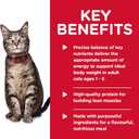 Hill's Science Diet Adult 1-6, Adult 1-6 Premium Nutrition, Wet Cat Food, Chicken Stew, 5.5 oz Can, Case of 24