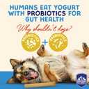 Himalayan Dog Chew Yogurt Sticks, Plain Flavored, Dog Treats With Prebiotics, Probiotics & Protein, Digestive Support, Lactose & Gluten Free, Natural Dog Treat for All Breeds, Made in America, 5 Count (4.8 Ounce (Pack of 1))