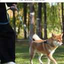 2 x Joytale Tangle-Free Slip Leads for Dogs, 6 FT Slip Leash with Padded Double Handle, Reflective Nylon Training Leash for Small Medium Dogs 15-40 Lbs, Sky Blue