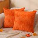 Rguct Fall Pillow Covers 16"x16" Set of 2 Orange Soft Faux Fur Pillow Covers Pumpkin Fall Pillows for Sofa Couch Bed, Fluffy Plush Accent Pillow Cases for Autumn Thanksgiving Farmhouse Home Décor