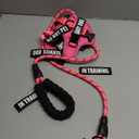 Dog Vest Harness and Leash Set, Animire Reflective Service Dog Vest with 10 Patches, 3 Rings No Choke Pet Vest for Leash Placement, in Training Dog Harness for Small Medium Large Dogs(Hot Pink,S)