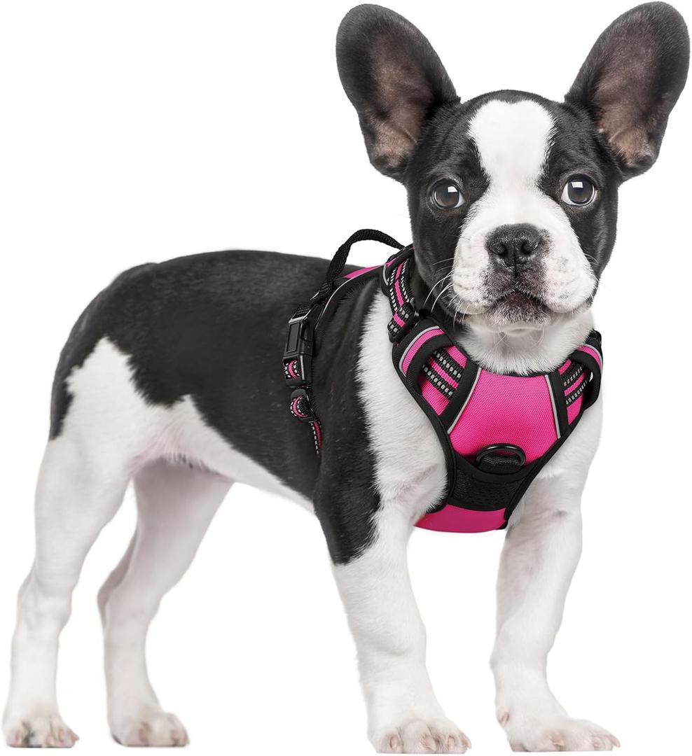 rabbitgoo Dog Harness No Pull with 2 Leash Clips, Adjustable Soft Padded, Reflective Oxford No Choke Pet Vest with Easy Control Handle for Dogs, Hot Pink, Small