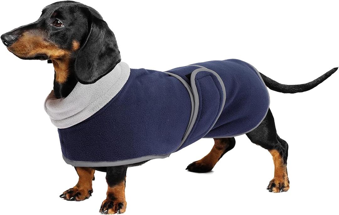 Dog Jacket Perfect for Dachshunds - Winter Coat With Padded Fleece Lining and High Collar, Snowsuit With Adjustable Bands - Navy - L