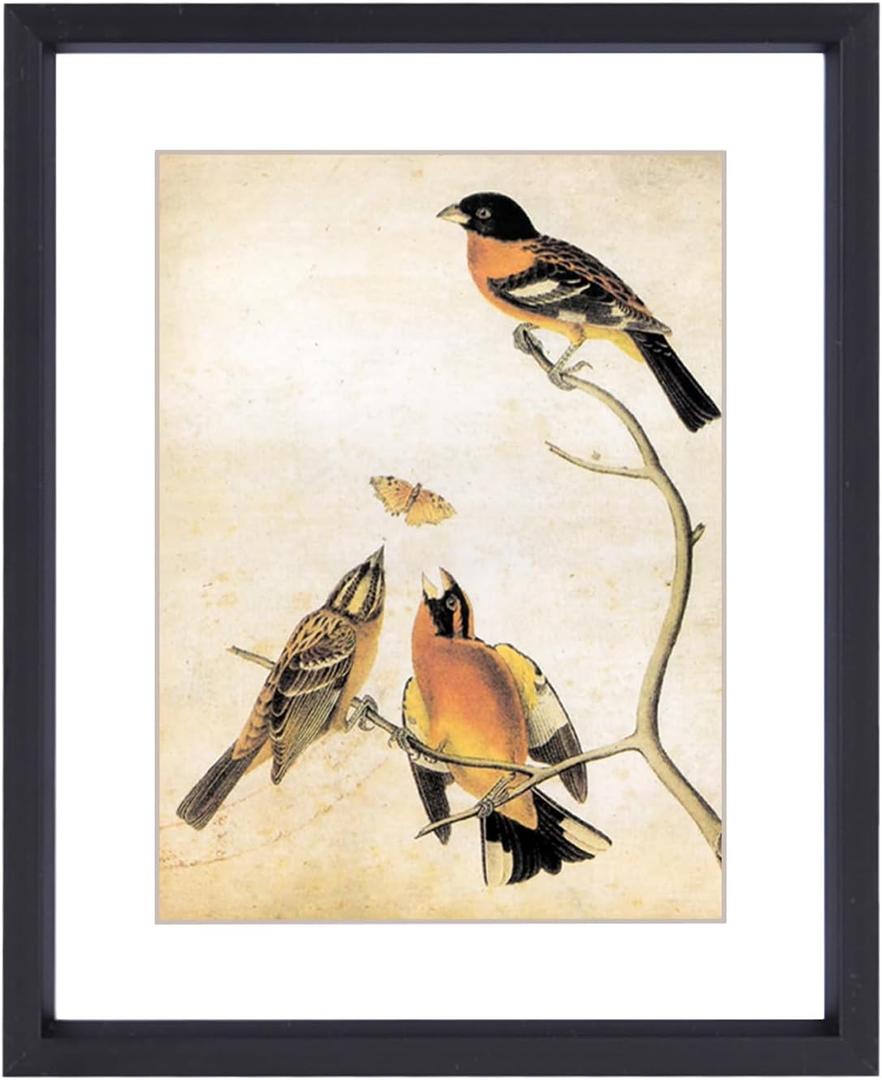 4x5 Picture Frame, Black Aluminum Metal Photo Frames with HD Glass, Fits 3x4 with Mat or 4 x 5 without Mat, Display for Wall and Table