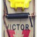 VICTOR MOUSE TRAP M325 (M-7) PROFESSIONAL CASE OF 72 TRAPS