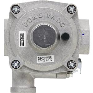 General Electric WB19K10055 Pressure Regulator