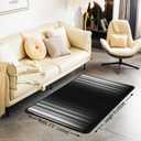 Ombre Grey Black Area Rug Ombre Effects Living Room Rugs for Bedroom Home Modern Decor Abstract Art Carpet Ultra Soft Non-Slip Indoor Floor Mat 3'x5'