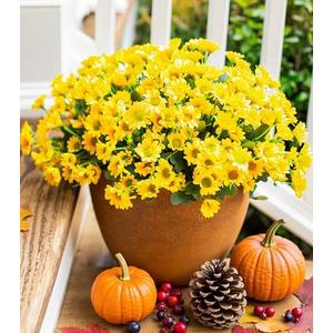 Daisy Artificial Flowers for Outdoors Fall Autumn Decoration, 6 Bundles Fake Mums Yellow Silk Flowers for Outside Look Real UV Resistant Faux Flowers Plants for Planter Front Door Home Indoor Porch