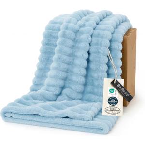 Bedsure GentleSoft Blue Fleece Blanket for Couch - Cozy Soft Blankets for Women, Cute Small Throws for Girls, Light Blue, 60x80 Inches
