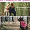 Small Dog Harness, Heavy Duty Tactical No Pull Dog Harness, No Choke, Easy On and Off Pet Vest with Molle System, Adjustable Reflective Dog Vest with Breathable Padded for Walking Hiking Training