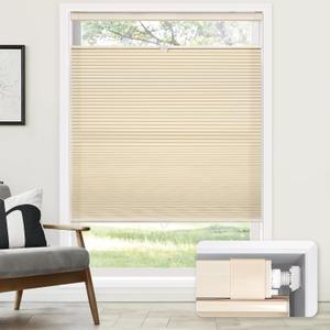 LazBlinds No Tools No Drill Cordless Cellular Shades, Top Down Bottom Up (TDBU) Honeycomb Shades for Home, Light Filtering Thermal Insulation Blinds for Windows, 23" W x 48" H, Beige