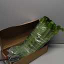 Fake Ferns Artificial Plants Large, 51" Faux Boston Fern with Vines & 66 Fronds, Lifelike Artificial ferns for Outdoors & Indoors, Ideal for Planters Home Porch Entrance Hall Decor, Hanging or Potted