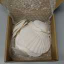 18PCS White Large Scallop Purely Natural Seashells 4-5in and Medium Shells 2-3in for Crafting, Scallop Shells Bulk for Beach Wedding Decorations, Ocean Seashell Party Decorations, Cooking or Painting