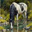 Animal Paint by Numbers Kit for Adults - DIY Horse at Forest Stream Painting on Canvas, Acrylic Paint Set, Suitable for Beginners, Art for Home Decoration or Gifts(8X12IN Framed)