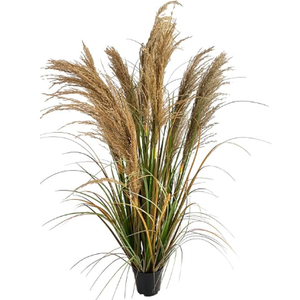 Alonfala - 43" Artificial Pampas Grass (2-Pack) - Faux Tall Grass Plants in Pots for Indoor Floor Decor, Housewarming, Home Office, Living Room