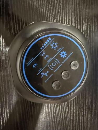 Electronic Rodent Deterrent