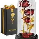 Kotko Rose in Glass Dome – Beautiful Glass Rose Flower Lights, for Women, Gifts for Mom, Romantic Occasions, Mother's Day, Women's Day – Home Decor | Flowers Roses with LED Light