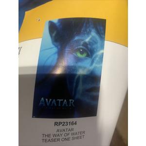 Posters Avatar 34L x 22.4W