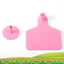 Lothee 100 Pcs Blank Cattle Ear Tags Large Plastic Precision Animal Identification Blank Livestock Ear Tags for Cattle Cow Horse Dog Pig Goat Sheep Farm Management (Pink)