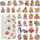 Liliaafar 30 Pcs Diamond Painting Magnets Set Diamond Art Magnets for Fridge Refrigerator Magnetic Stickers for DIY Crafts 5D Gem Rhinestones Art Painting Kits for Adults Beginners(Capybara)