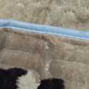 SincoPet Washable Dog Pee Pads with Puppy Grooming Gloves,Puppy Pads,Reusable Pet Training Pads,Large Dog Pee Pad,Waterproof Pet Pads for Dog Bed Mat,Super Absorbing Whelping Pads (36x41 Inch (Pack of 2))