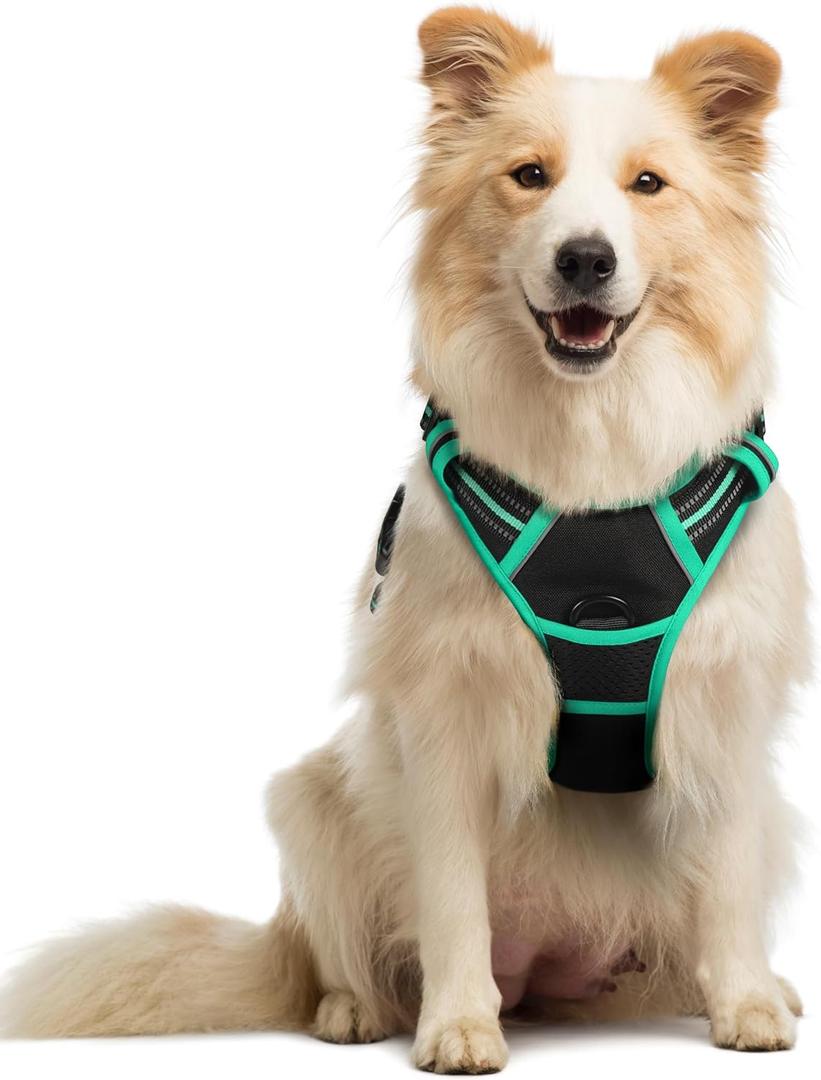 Rabbitgoo Dog Harness No Pull with 2 Leash Clips, Adjustable Soft Padded, Reflective Oxford No Choke Pet Vest with Easy Control Handle for Medium Sized Dogs, Black & Turquoise, M