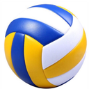 Indoor Outdoor Volleyball Recreational Gym Competition Soft Touch Volleyball