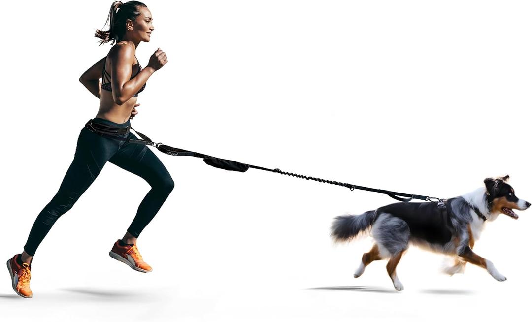FITLY Dog Running Waist Belt - Dual-Point Force Distribution System - Hands-On-HIPS Canicross Harness for Running, Walks, Hikes - Convertible Design with Storage Pouch & Bungee Damper - Nifty Black