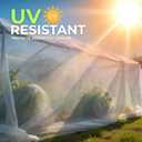 2 x Plastic Sheeting (10' x 25') Long, 3 Mil (2 Pack) - UV Protection Poly Sheeting Polyethylene Film, Heavy Duty Greenhouse Plastic Sheeting