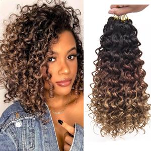 GoGo Curl Crochet Hair for Women Water Wave Curly Crochet Hair Wavy Human Hair Deep Wave Beach Curl Crochet Synthetic Hair Extensions (12 inch(Pack of 6), 1B/30/27) GoGo Curl Crochet Hair for Women Water Wave Curly Crochet Hair Wavy Human Hair Deep Wave Beach Curl Crochet Synthetic Hair Extensions (12 inch(Pack of 6), 1B/30/27)