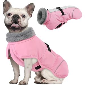 Queenmore Dog Winter Jacket, Fleece Lining Doggie Vests for Winter, Dog Coats for Medium Dogs Waterproof, Puppy Snowsuit with Leash Hole, Pink, M