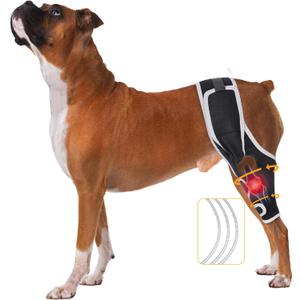 Acl Knee Brace for Dogs  Adjustable Support with Metal Stabilizers for Acl and Ccl Injuries, Joint Pain Relief, Surgery Recovery, and Improved Mobility for Front or Rear Legs, L