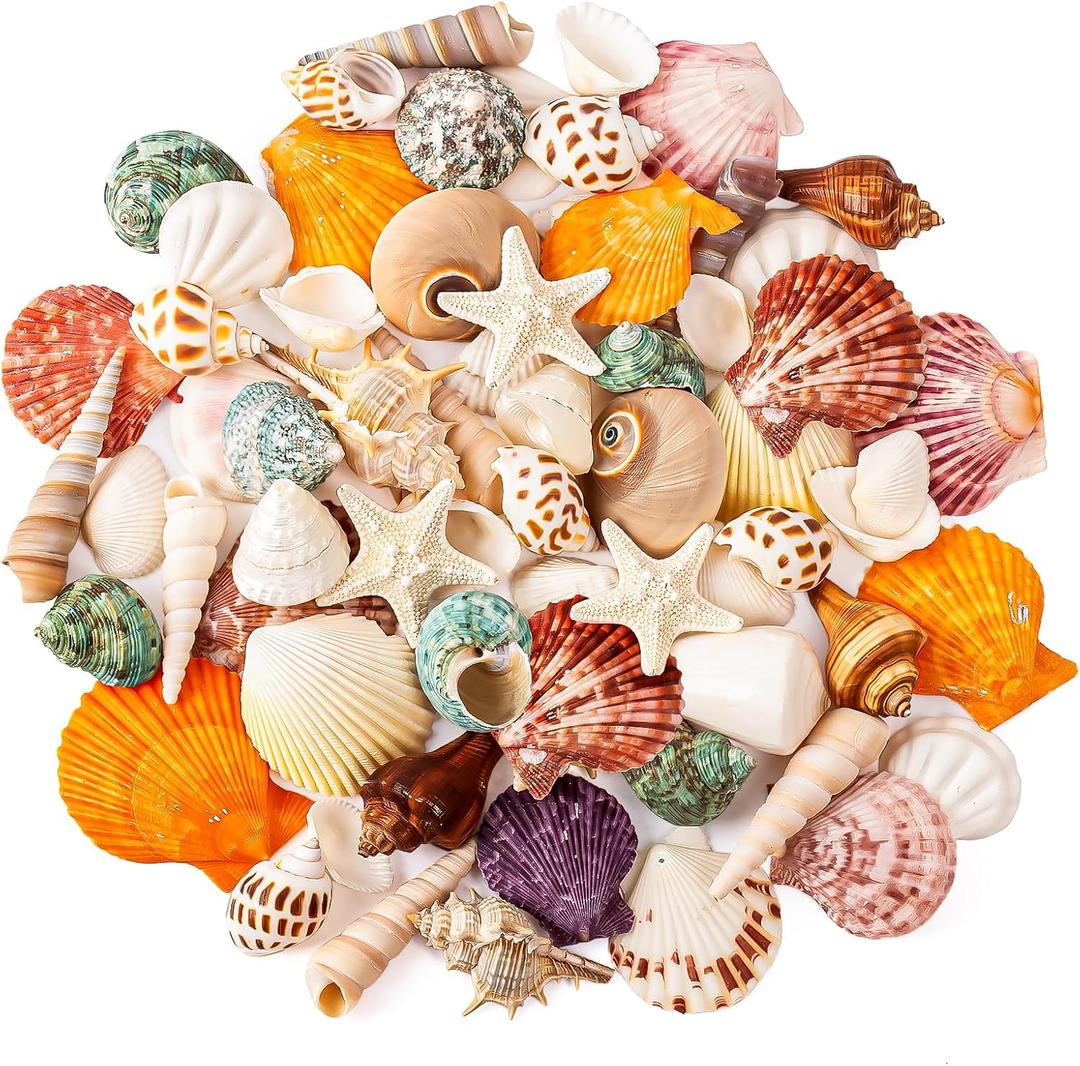 Sea Shell Mixed Ocean Shells Set, 15 Kinds 1.2"-2.7" Various Sizes Natural Seashell & Starfish for Beach Themed Decor, DIY Crafts, Vase Fillers, Fish Tank, Home, Wedding and Party Decoration