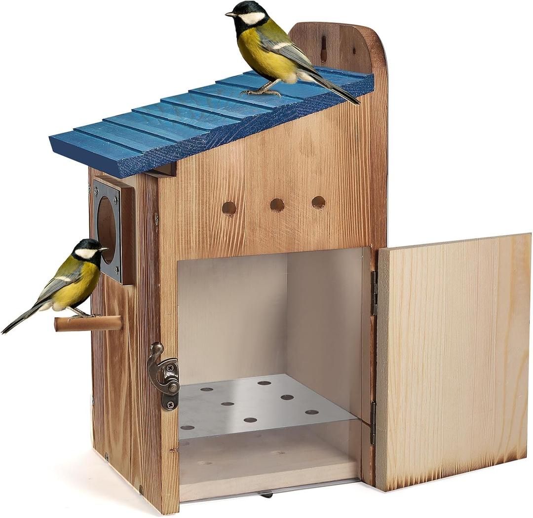 Blue Bird Houses for Outside with Gift Box - Durable Birdhouses for Outdoors with Clear View Panel & Predator Guard for Bluebird Wren Swallow Finch Chickadee Cardinal