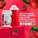 Xtend Original BCAA Powder Airheads Candy Flavor, 7g BCAA and 2.5g L-Glutamine, Sugar Free Post Workout Muscle Recovery Drink with Amino Acids for Men & Women, 30 Servings (14 Ounce (Pack of 1))
