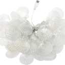 Natural Beach Shell String Light - 19.69 ft, 40 Warm White LEDs, Weatherproof, Battery/USB Powered, Ocean Theme for Holiday Party, Wedding, Garden Decoration