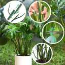 Yhtpouqe 4 Pack Plant Support Stakes, Plant Stakes for Indoor and Outdoor Plants. 28inch Plant Sticks with Extension Poles, Plant Clips, Plant Ties for Potted Monstera Plants, Climbing Plants (Green)