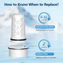 Water Pitcher Filter Replacement for LifeStraw Home, 7 Pack Water Filter Compatible with LifeStraw Home Dispenser and Pitcher Systems,1 Membrane Micro Filter& 6 Activated Carbon Filters 1-Year Supply