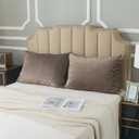 H HOUSEHOLD Set of 2 Velvet Queen Size Pillowcase, Soft and Cozy Luxury Fuzzy Flannel 20x30 Inches Pillow Cover with Zipper (Queen (20 x 30 Inch), Brown)