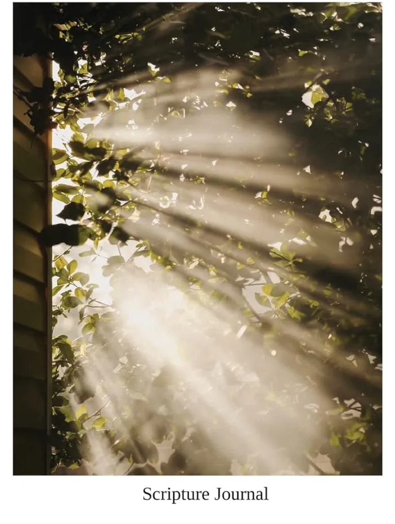 Scripture Study Journal: For expanding