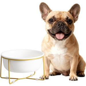 Elevated Ceramic Dog Bowl with Metal Stand - Raised Feeding Dish for Small and Medium Dogs - Ideal for Food or Water - Each Holds 600ml / 3.2 Cups (Approx. 320g) - White