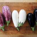 8 x 30+ Seeds Eggplant Long Mix - Vegetable Multicolor