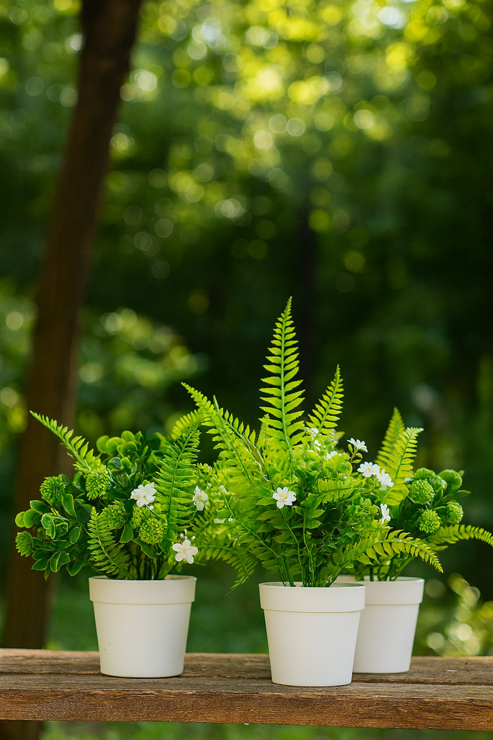 Plants Outdoor Summer Decor